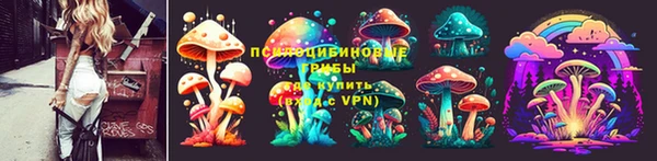 крисы Бугульма
