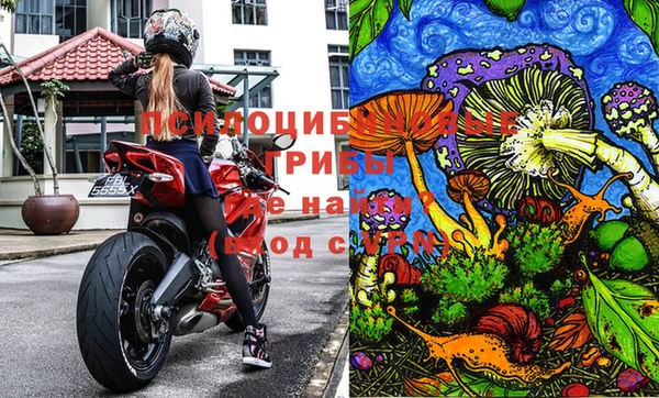 твердый Бронницы