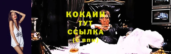 твердый Бронницы
