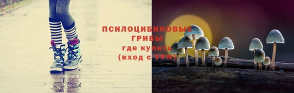 крисы Бугульма