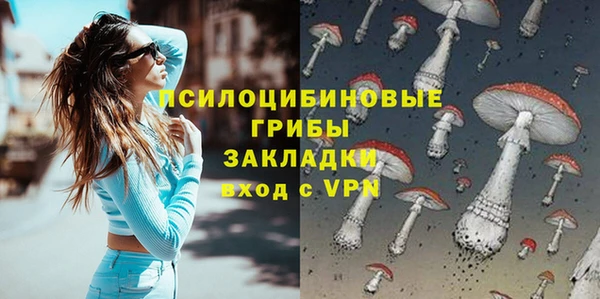 крисы Бугульма