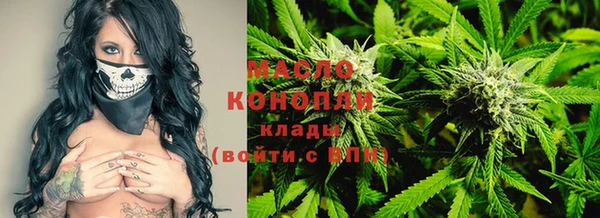 крисы Бугульма