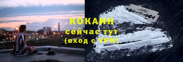 крисы Бугульма